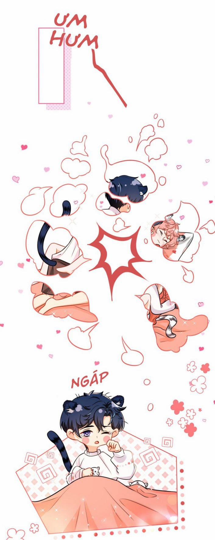 Tín Tức Tố Nói Chúng Ta Không Thể Phiên Ngoại Chúc Mừng Năm Mới trang 1