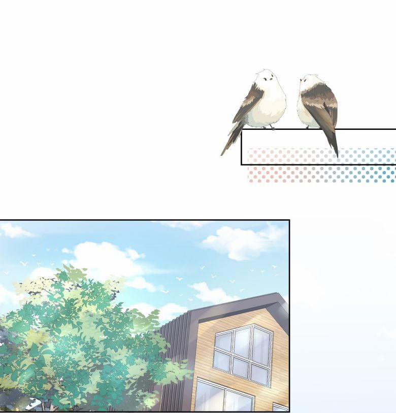 Tín Tức Tố Nói Chúng Ta Không Thể Phiên Ngoại trang 2