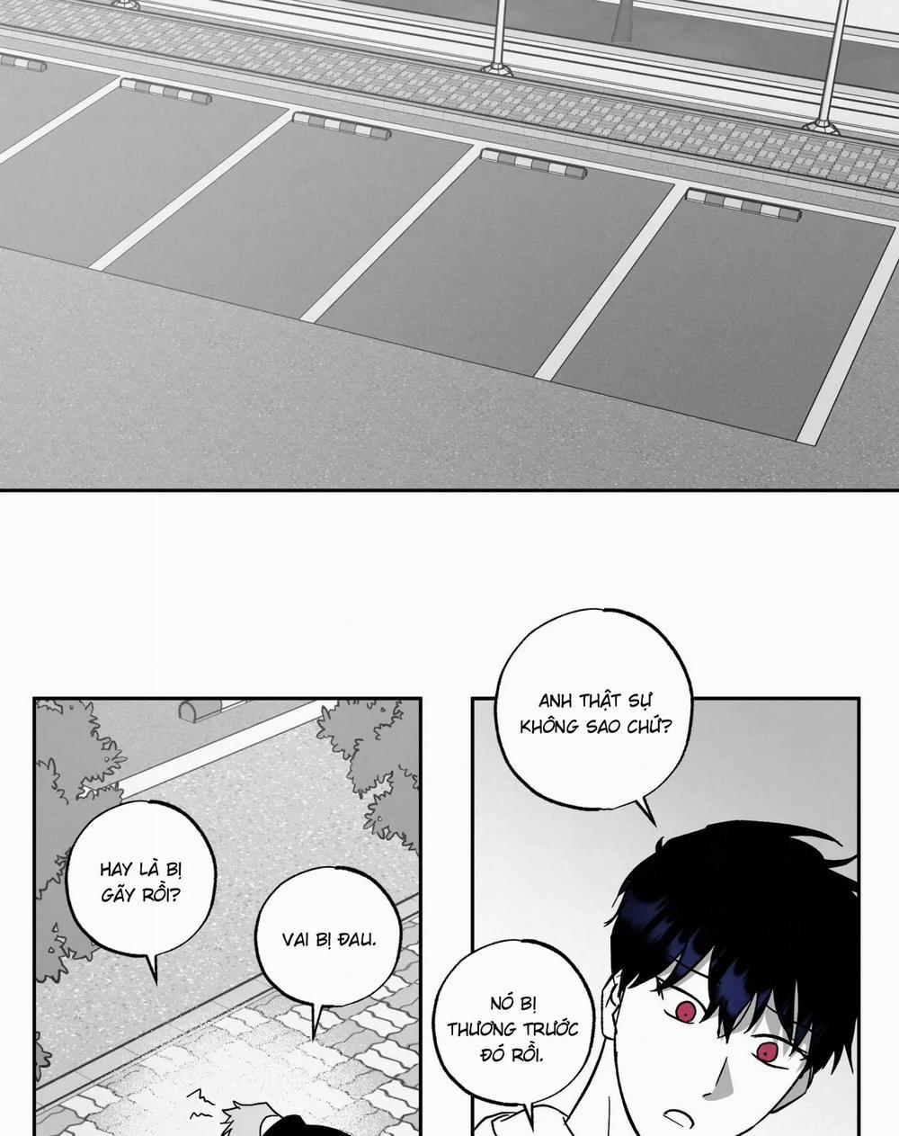 Tin Vào Tín Hiệu Của Tôi 23 trang 29