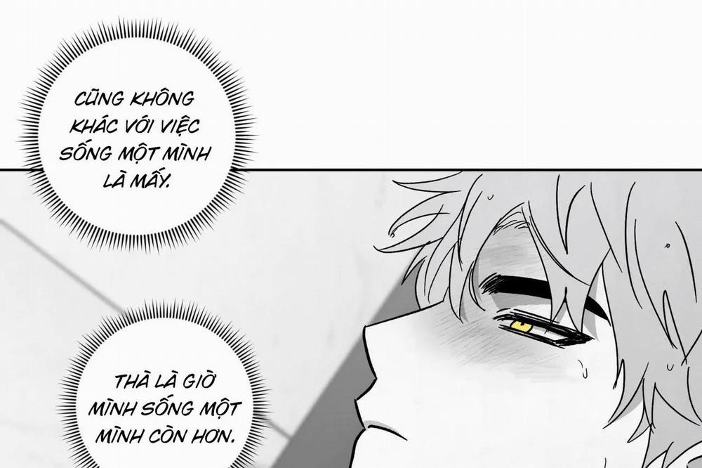 Tin Vào Tín Hiệu Của Tôi 35 trang 111