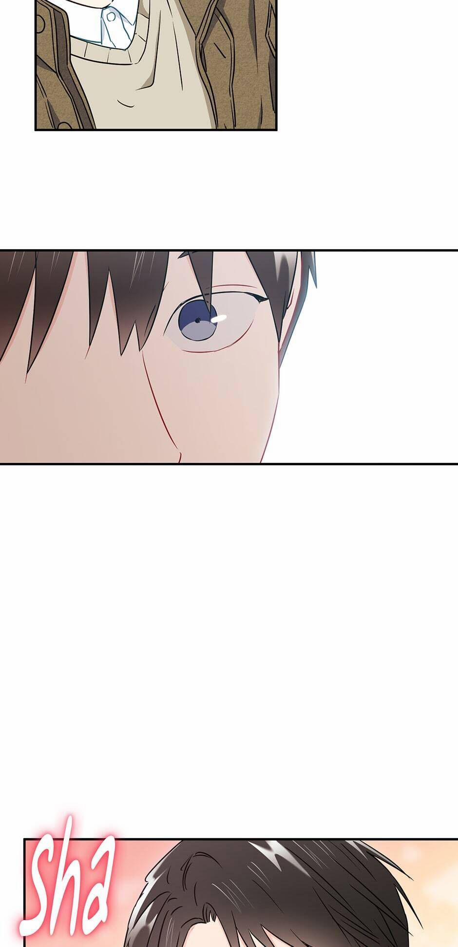 Tình “anh em xã hội chủ nghĩa” 14 trang 36