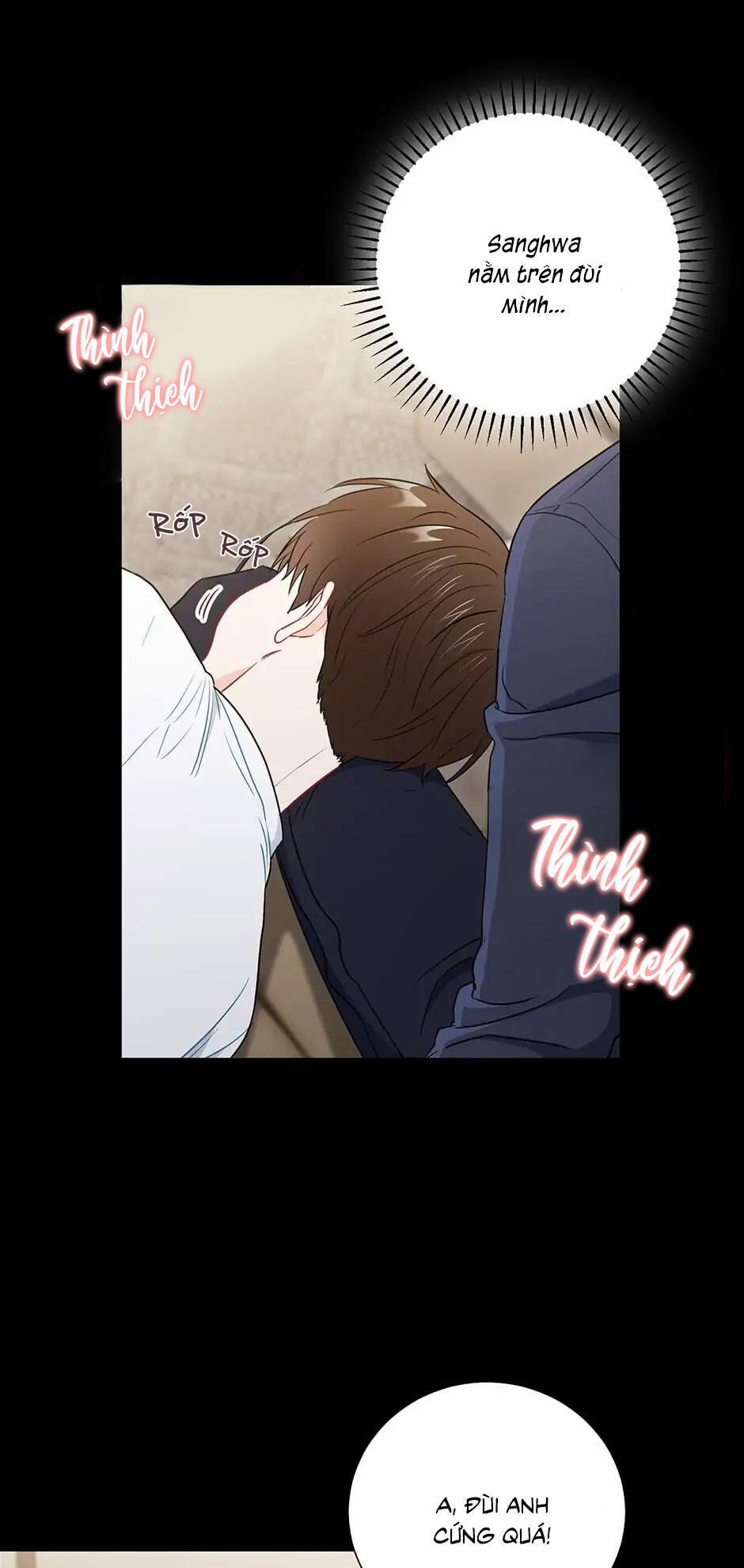 Tình “anh em xã hội chủ nghĩa” 26 trang 19