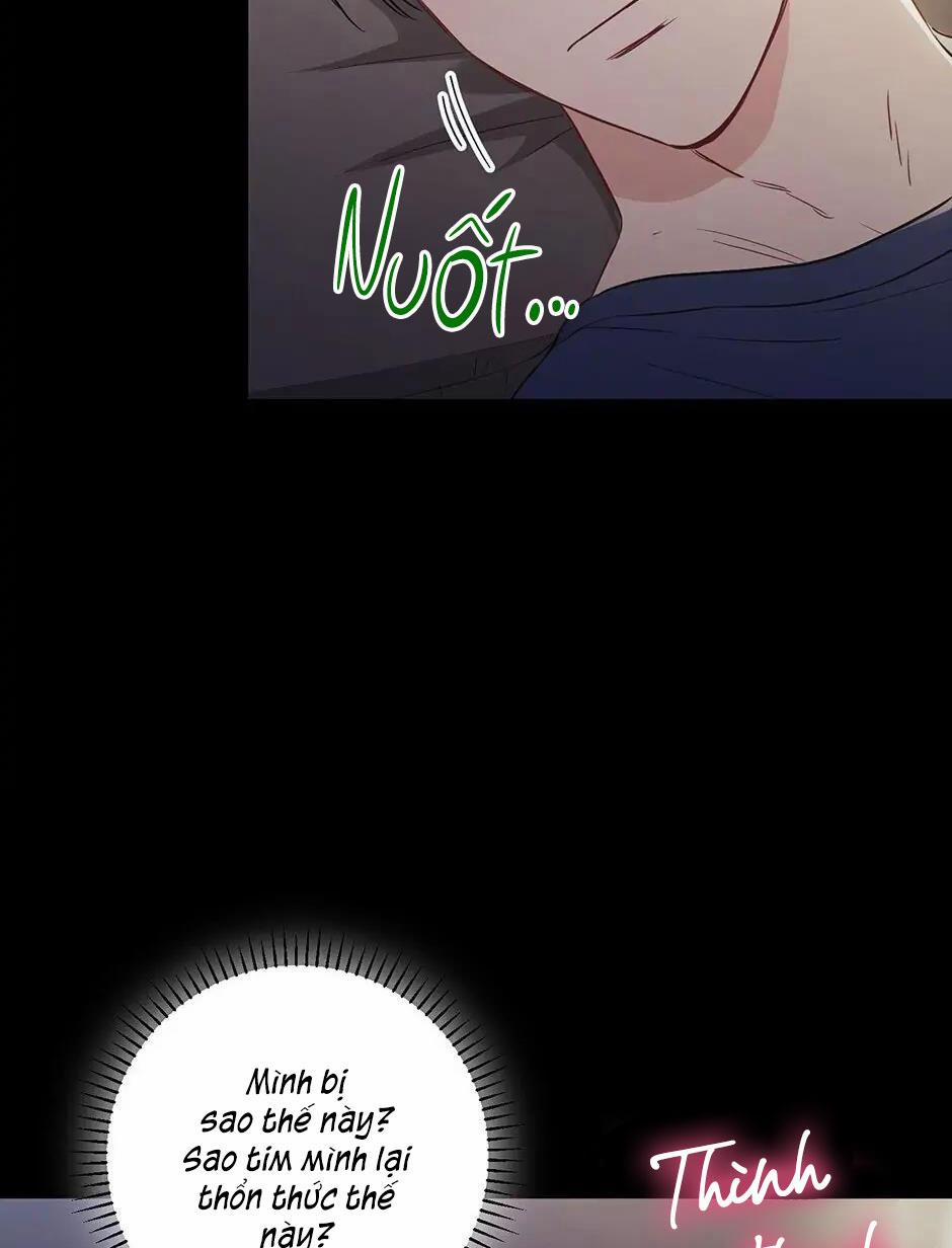 Tình “anh em xã hội chủ nghĩa” 27 trang 13