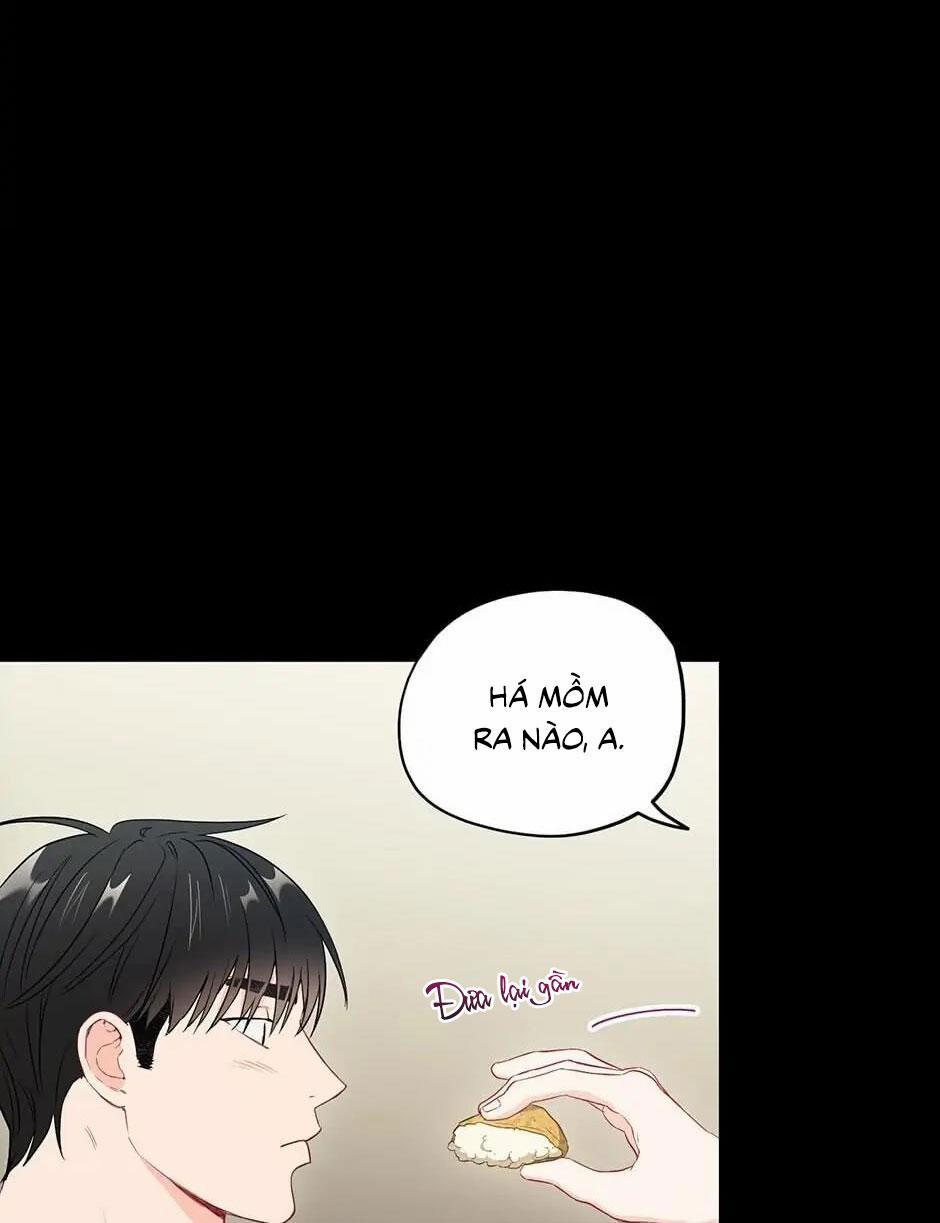 Tình “anh em xã hội chủ nghĩa” 27 trang 56