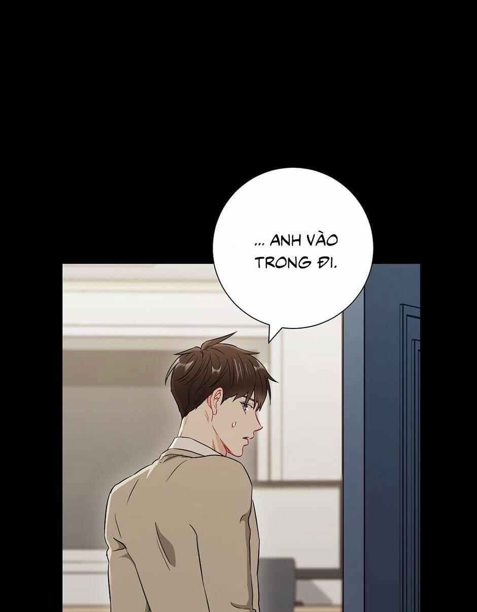 Tình “anh em xã hội chủ nghĩa” 28 trang 41