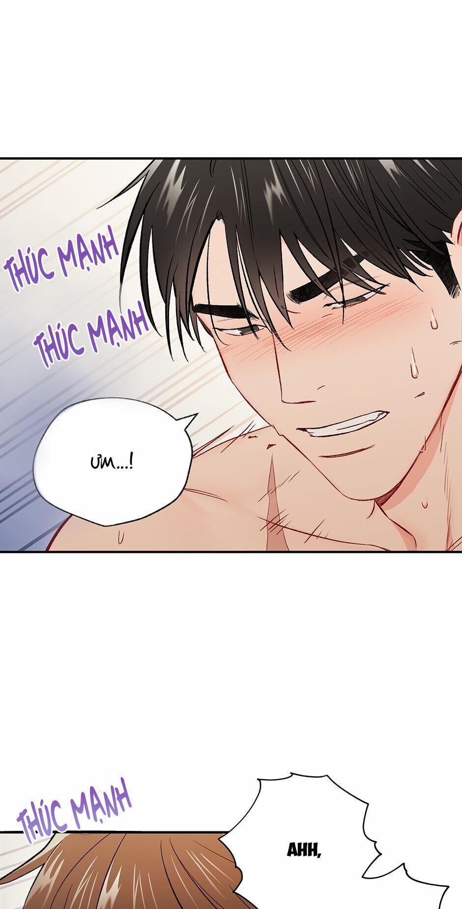 Tình “anh em xã hội chủ nghĩa” 35 trang 28