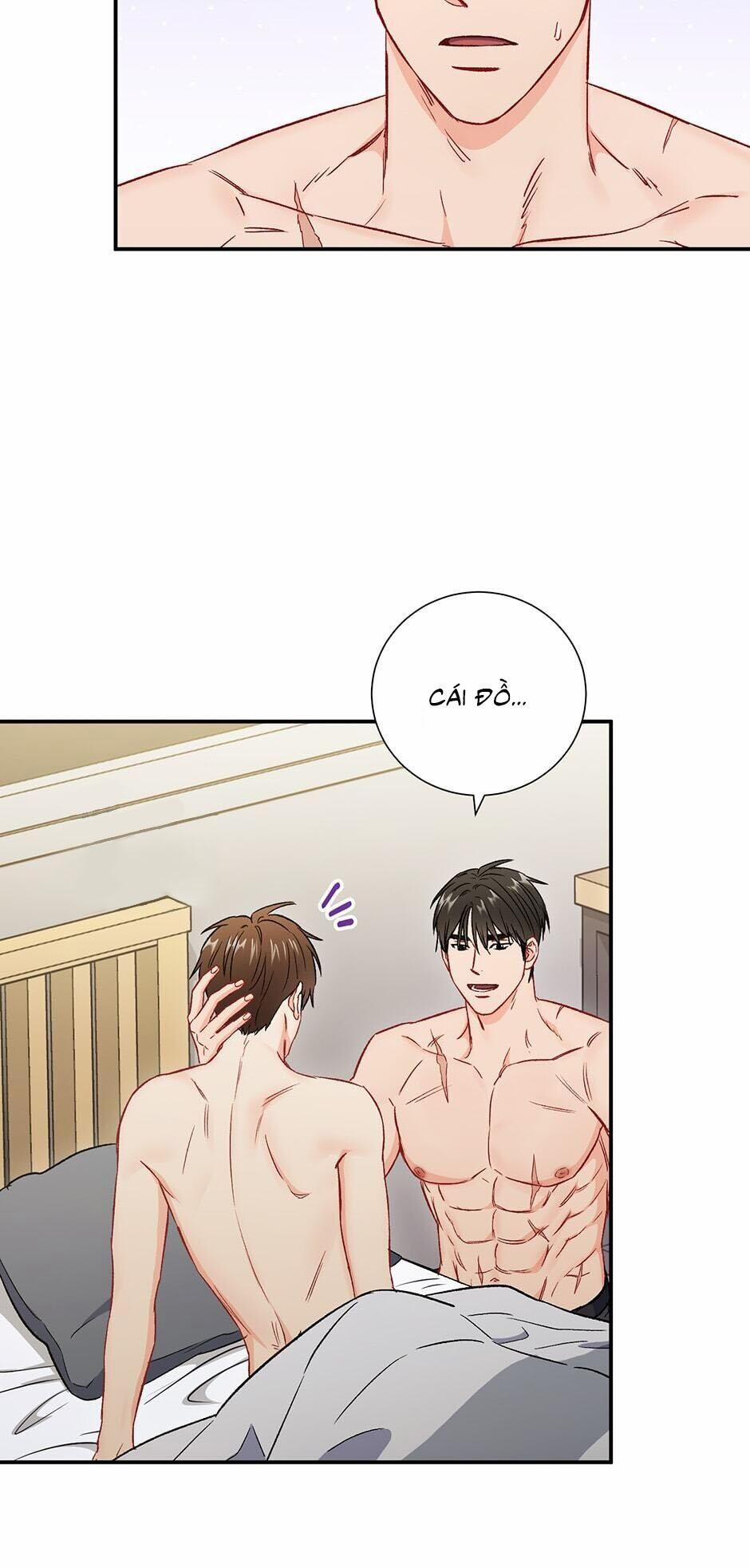 Tình “anh em xã hội chủ nghĩa” 35 trang 44