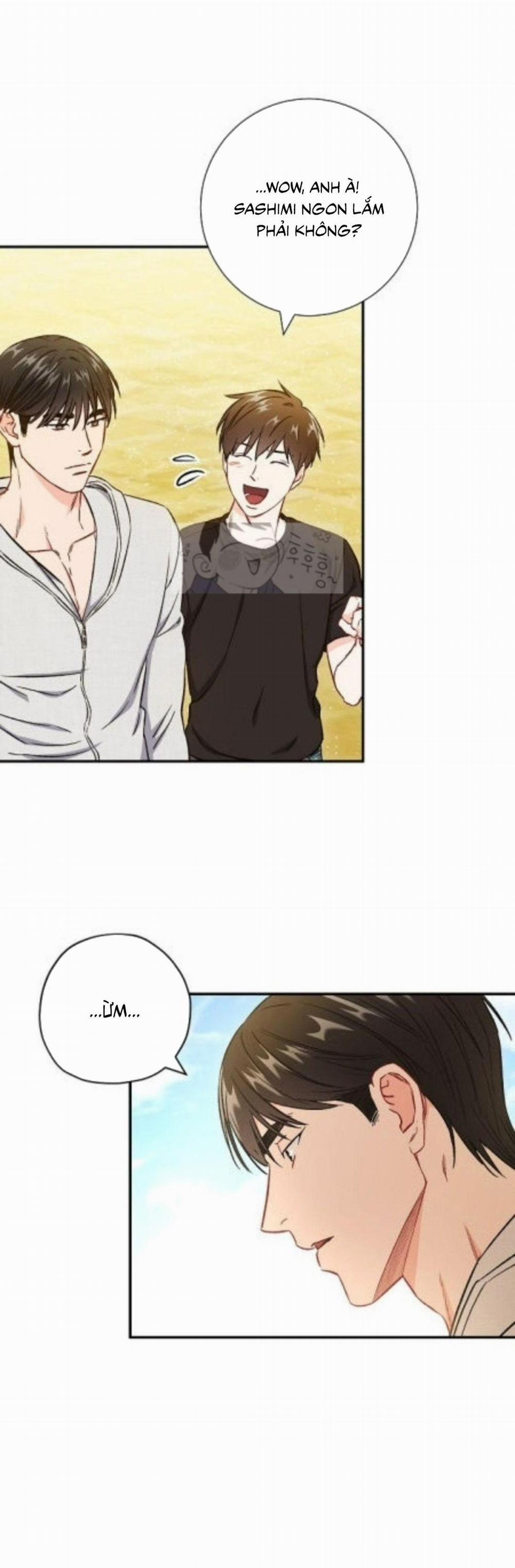 Tình “anh em xã hội chủ nghĩa” 41 trang 27