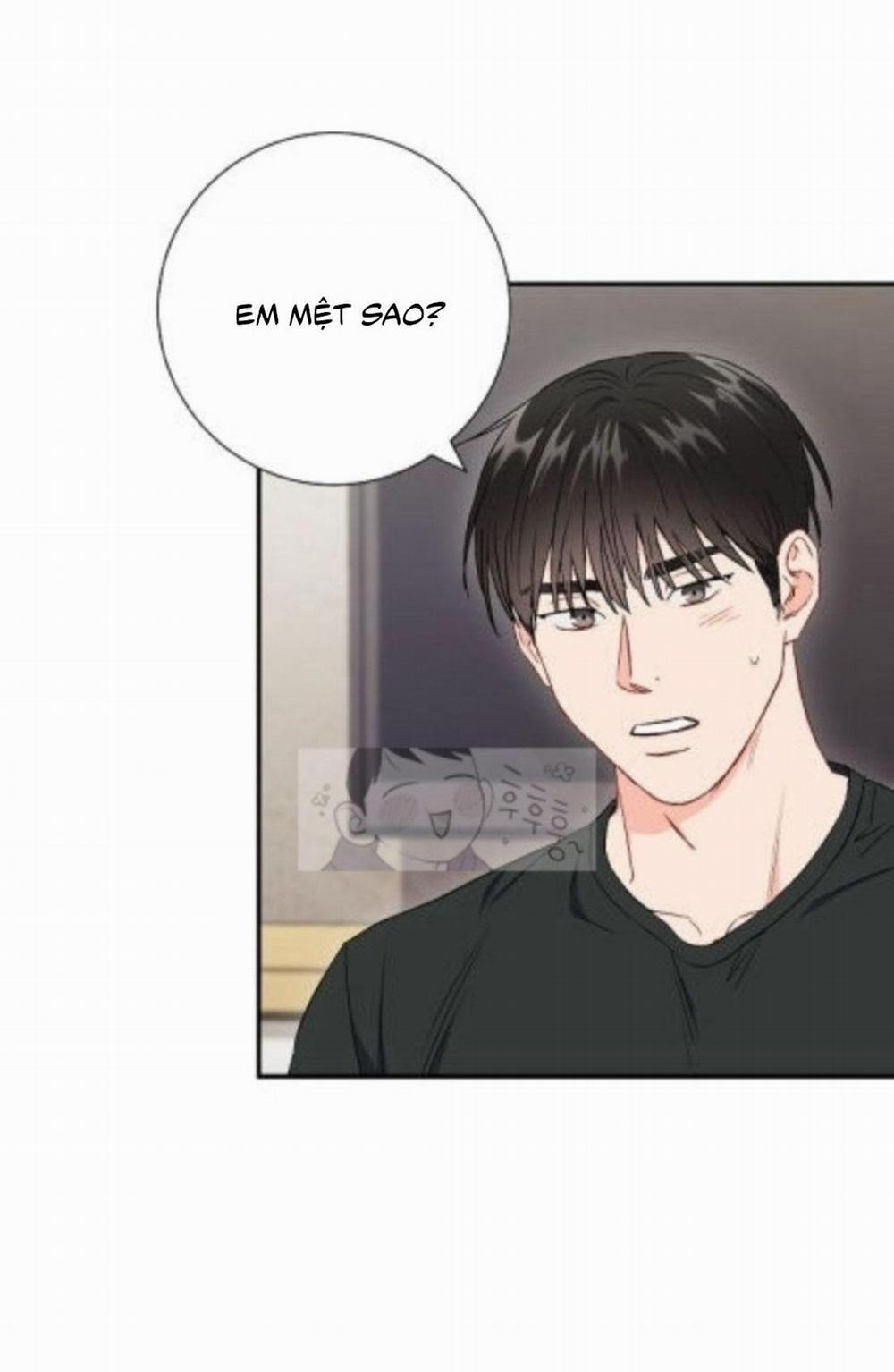 Tình “anh em xã hội chủ nghĩa” 44 trang 29