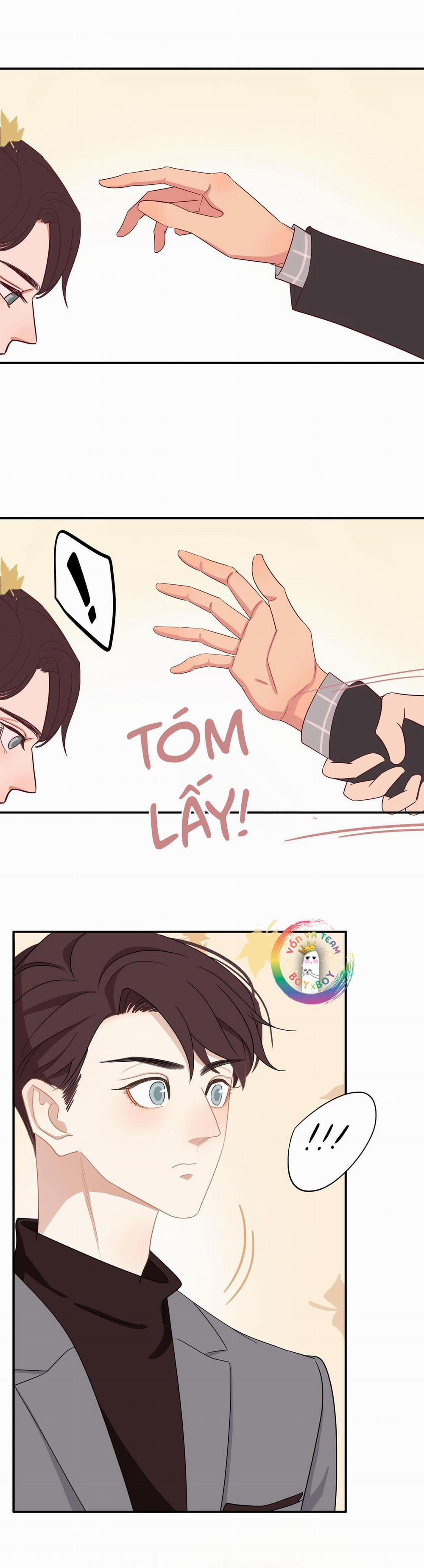 Tình Chàng 30 37 trang 11