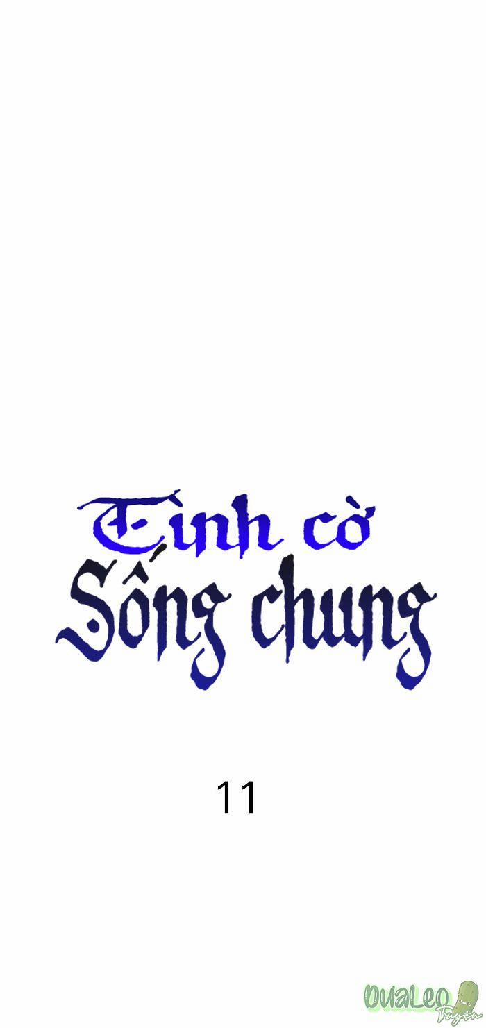 Tình Cờ Sống Chung 11 trang 3