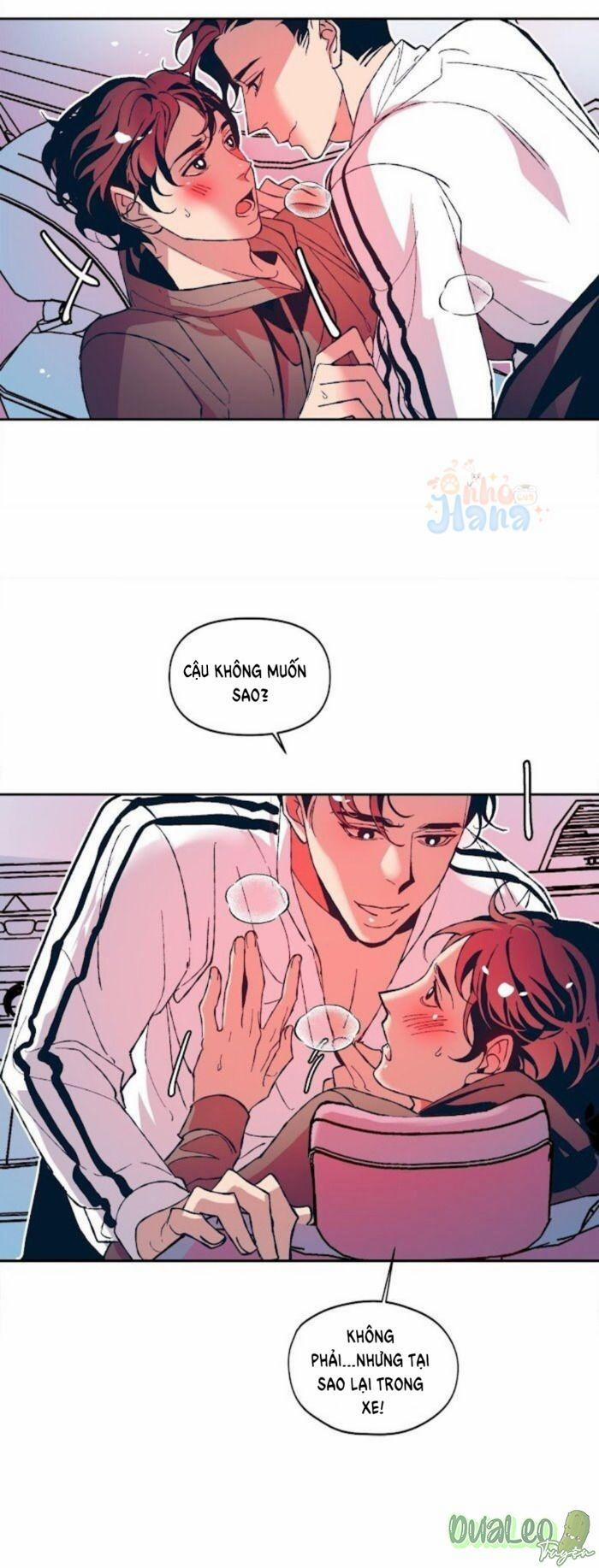 Tình Cờ Sống Chung 12 trang 1