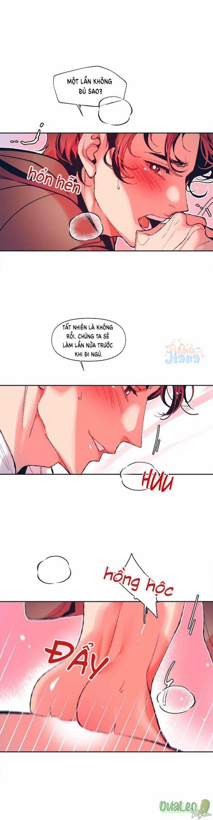 Tình Cờ Sống Chung 12 trang 12