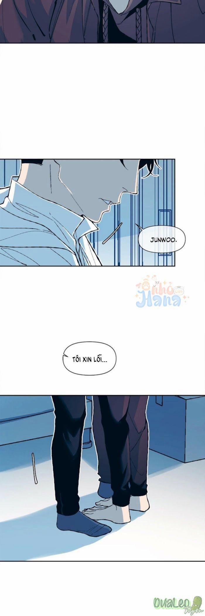 Tình Cờ Sống Chung 13 trang 13