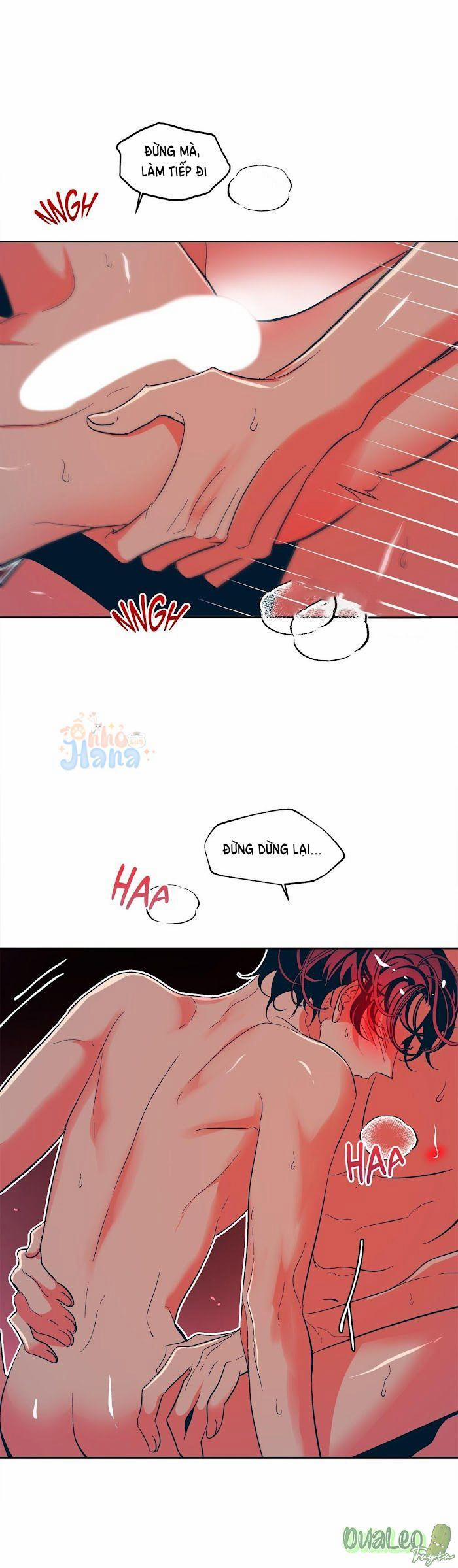 Tình Cờ Sống Chung 14 trang 14