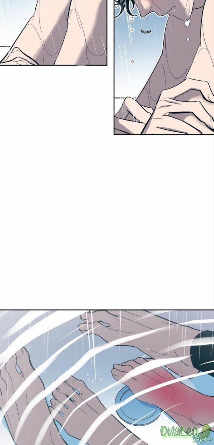 Tình Cờ Sống Chung 17 trang 17