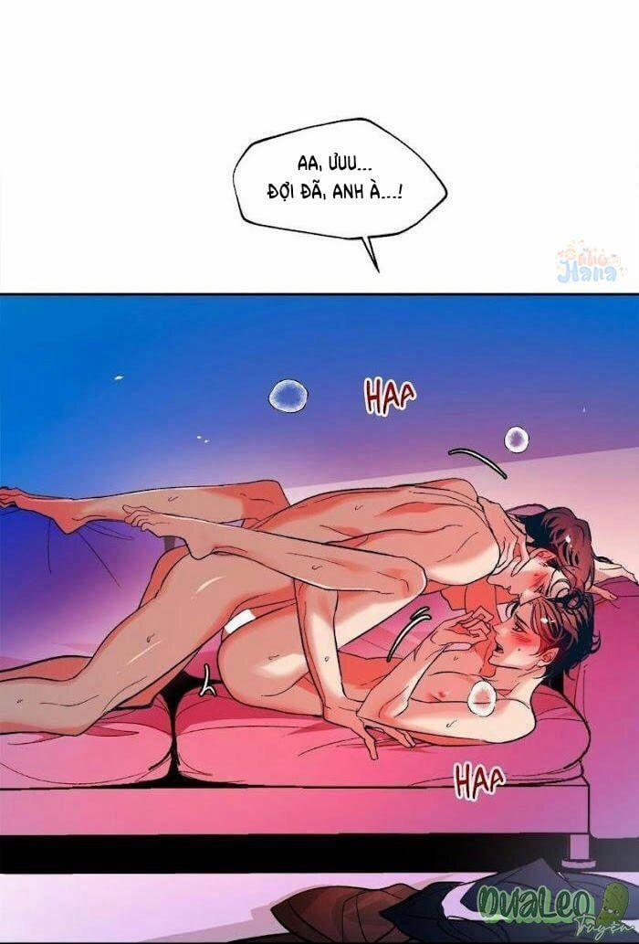 Tình Cờ Sống Chung 19 trang 0