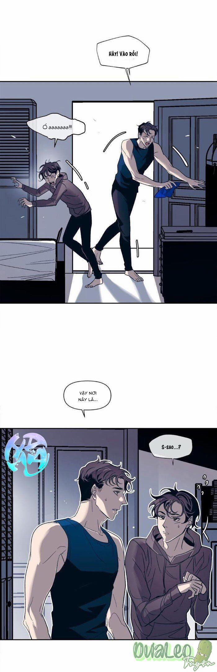 Tình Cờ Sống Chung 20 trang 3