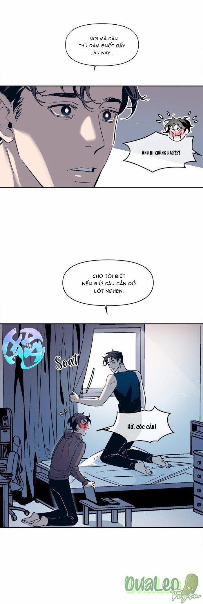 Tình Cờ Sống Chung 20 trang 4