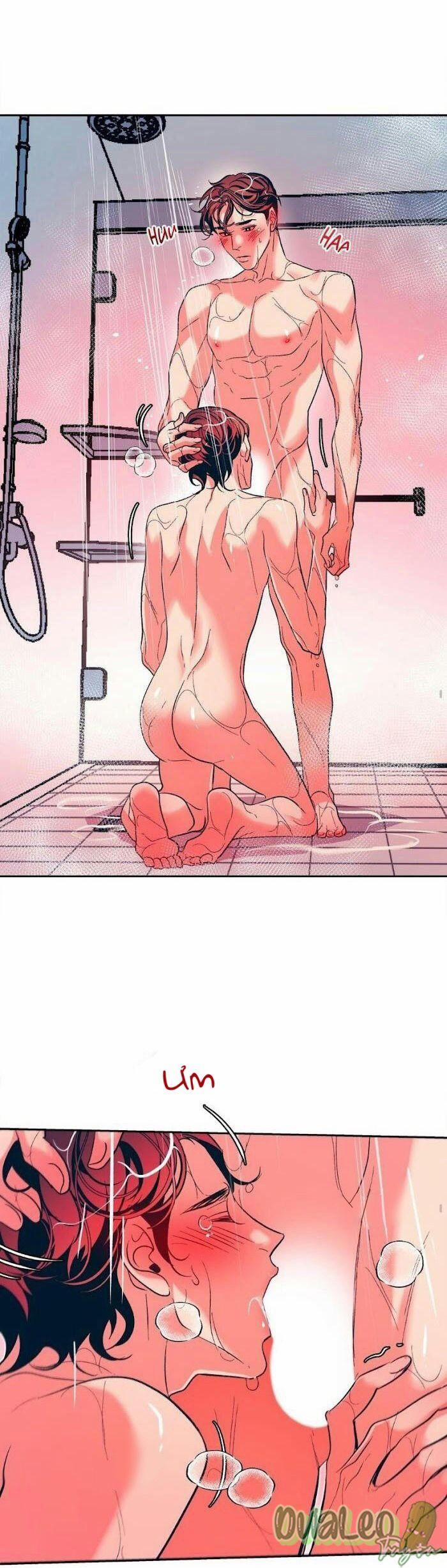 Tình Cờ Sống Chung 21 trang 12