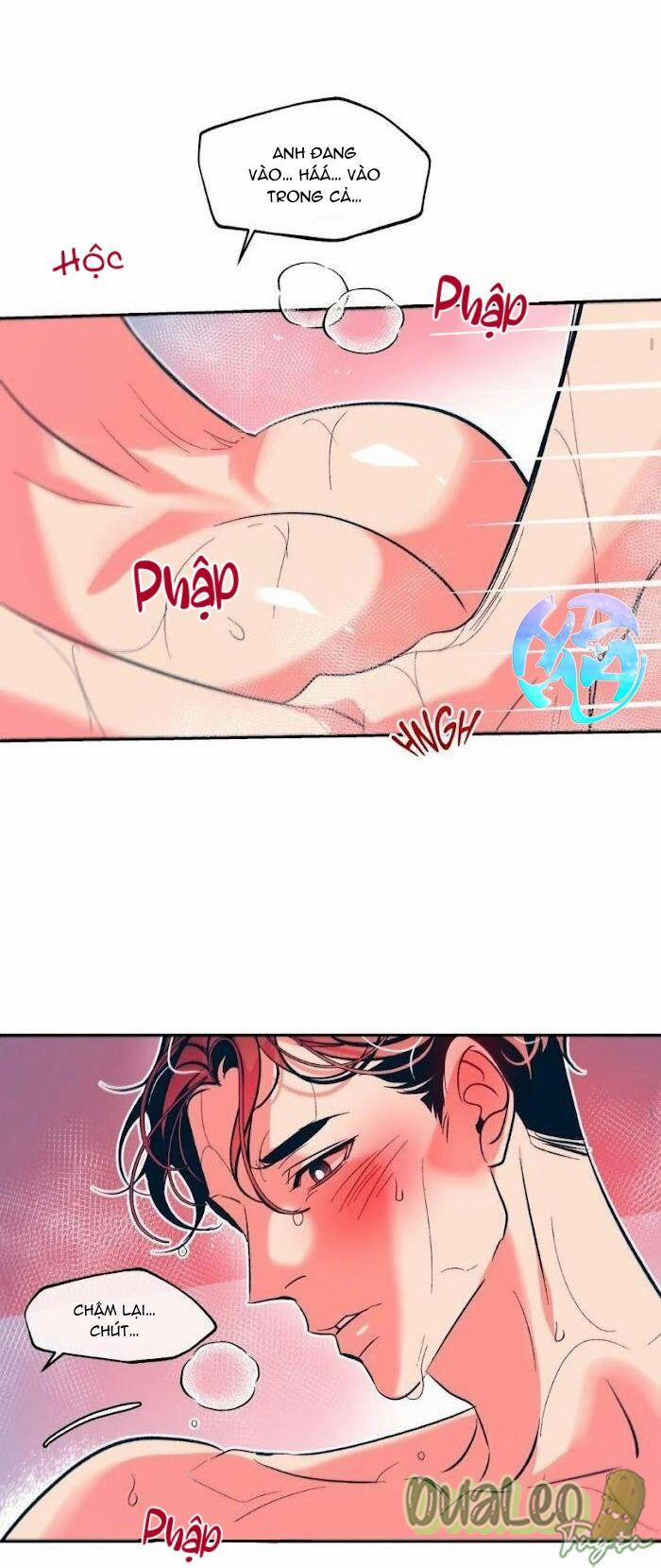 Tình Cờ Sống Chung 21 trang 17