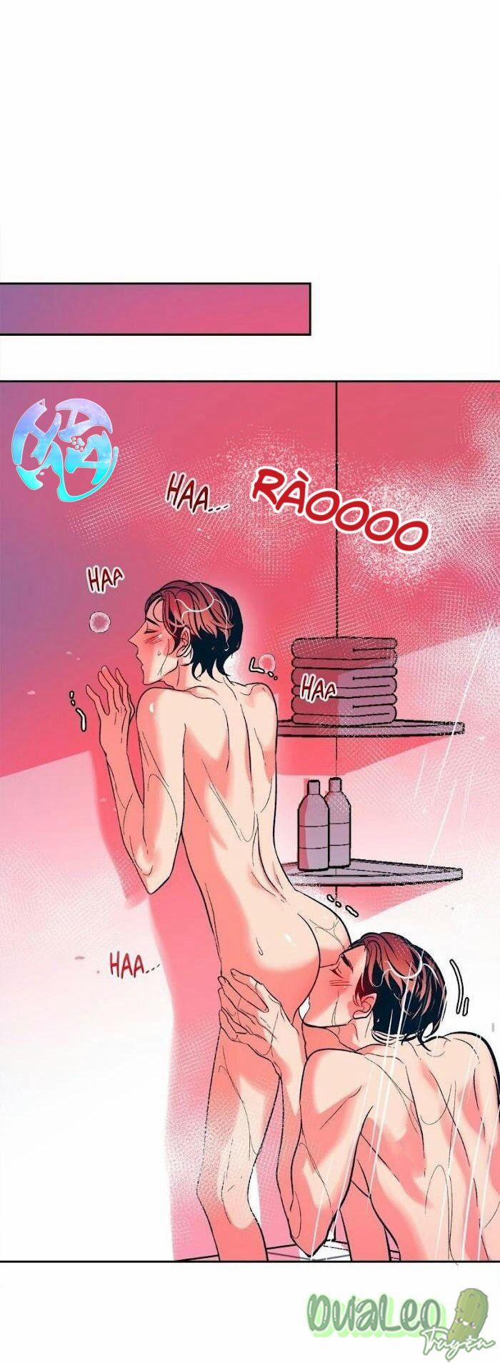 Tình Cờ Sống Chung 21 trang 9