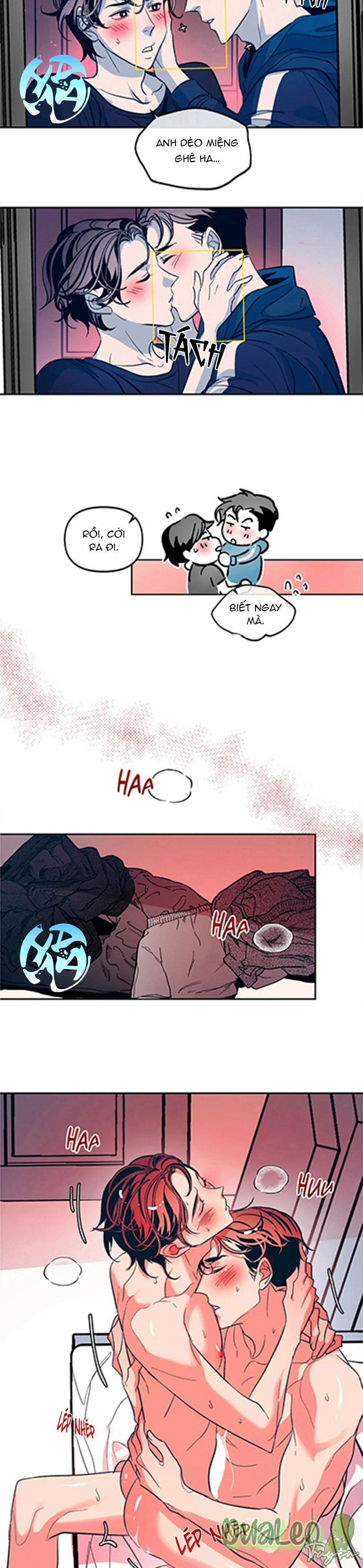 Tình Cờ Sống Chung 24 trang 16