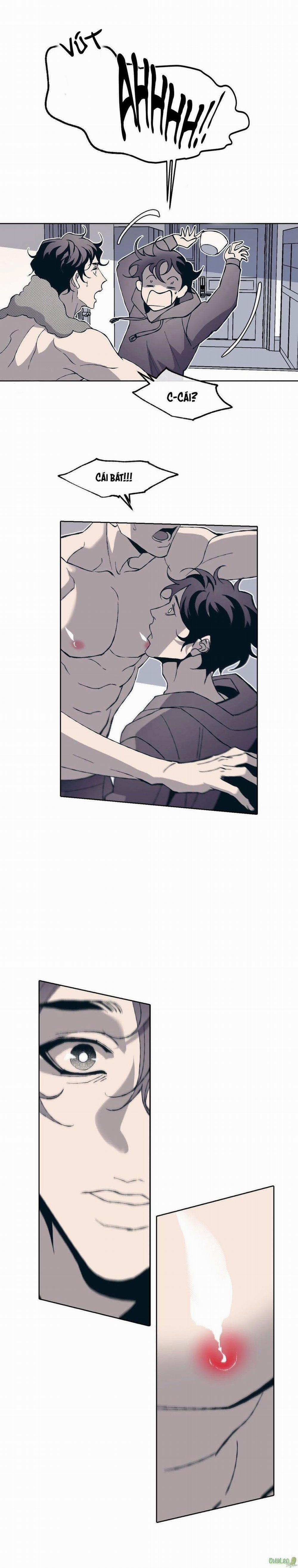 Tình Cờ Sống Chung 3 trang 11