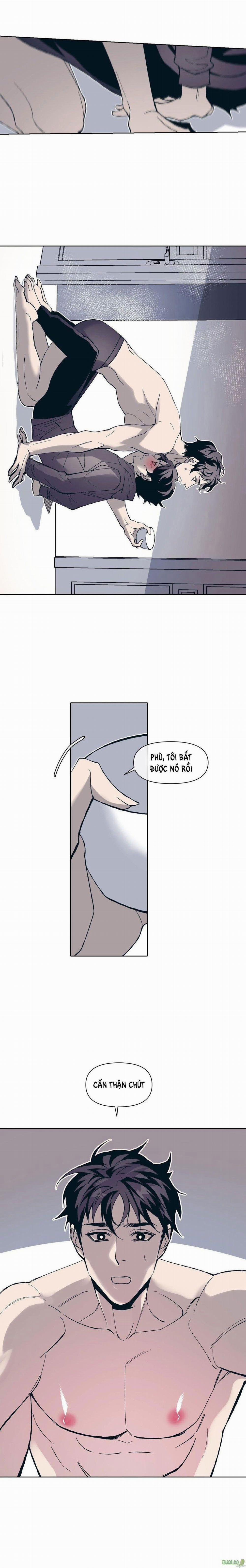 Tình Cờ Sống Chung 3 trang 12