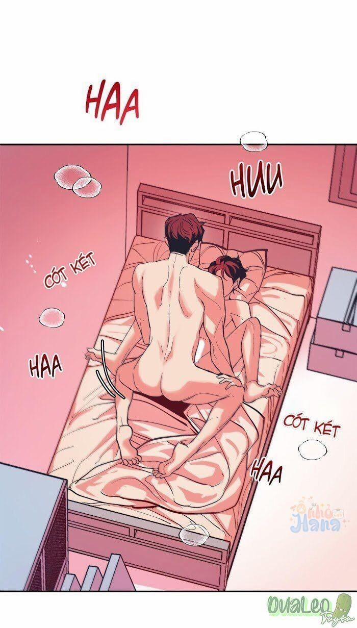 Tình Cờ Sống Chung 9 trang 10