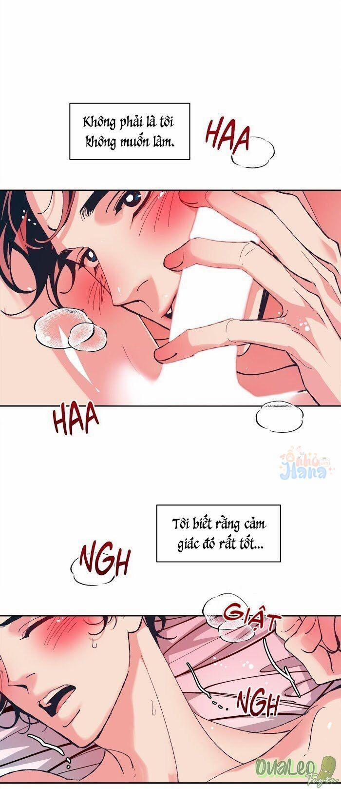 Tình Cờ Sống Chung 9 trang 3