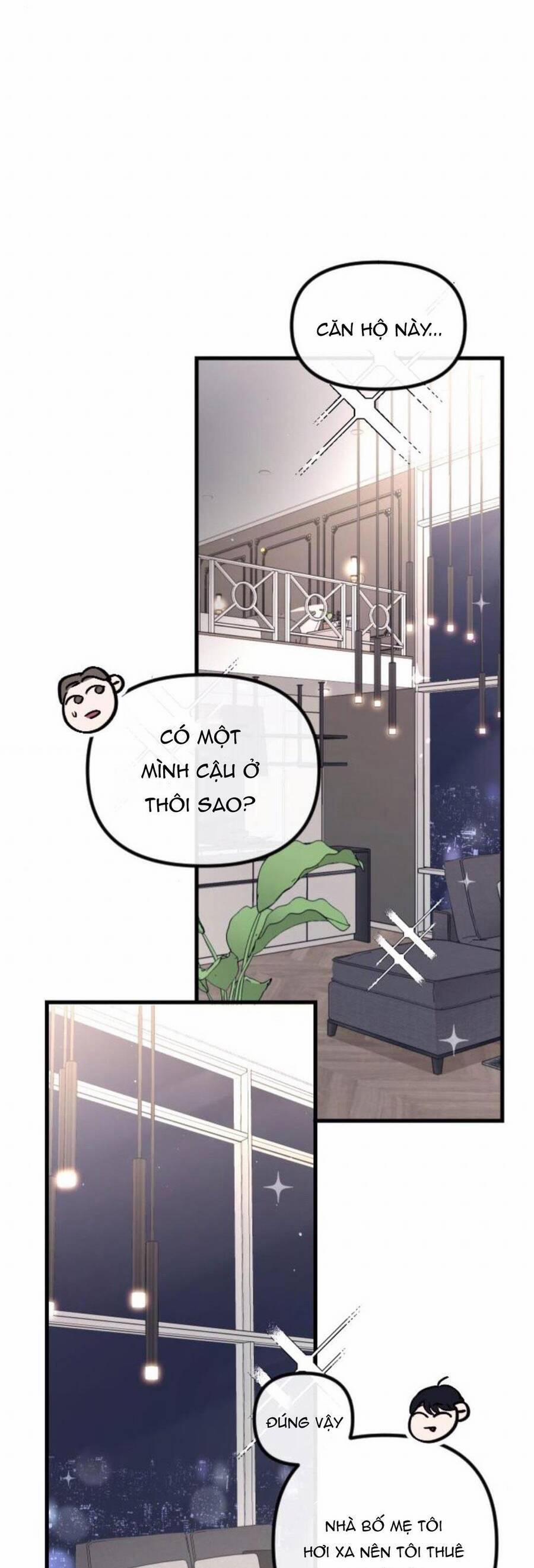 Tình Cờ Ta Gặp Nhau 8 trang 13