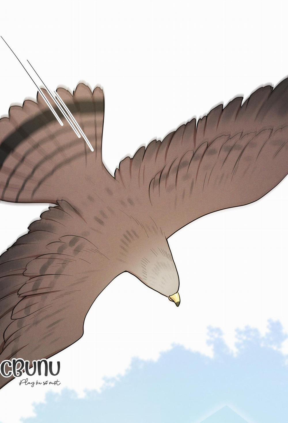 Tình Cờ Thật?! 1 trang 11