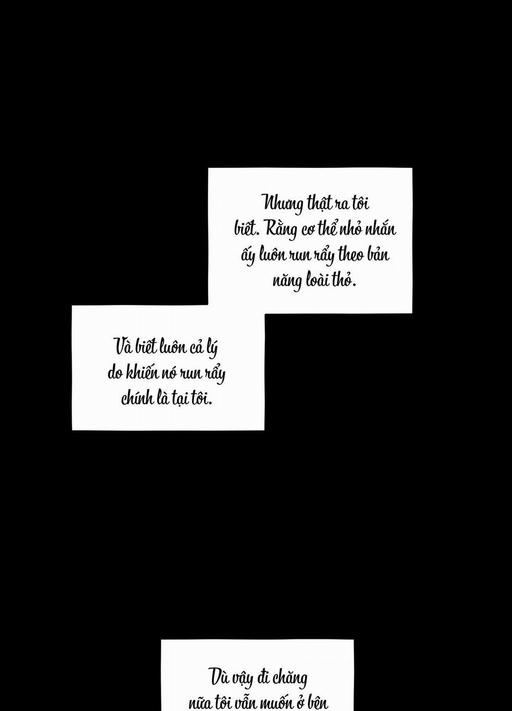 Tình Cờ Thật?! 2 trang 29