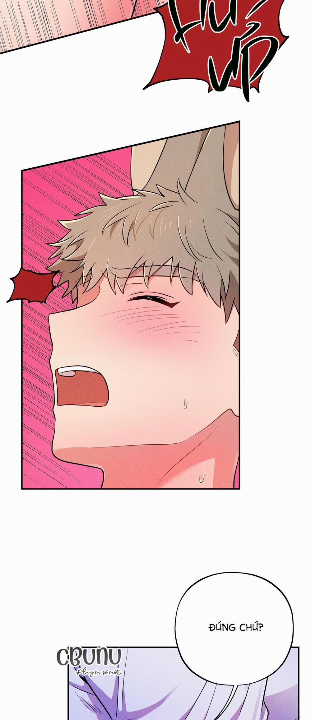 Tình Cờ Thật?! 4 trang 42