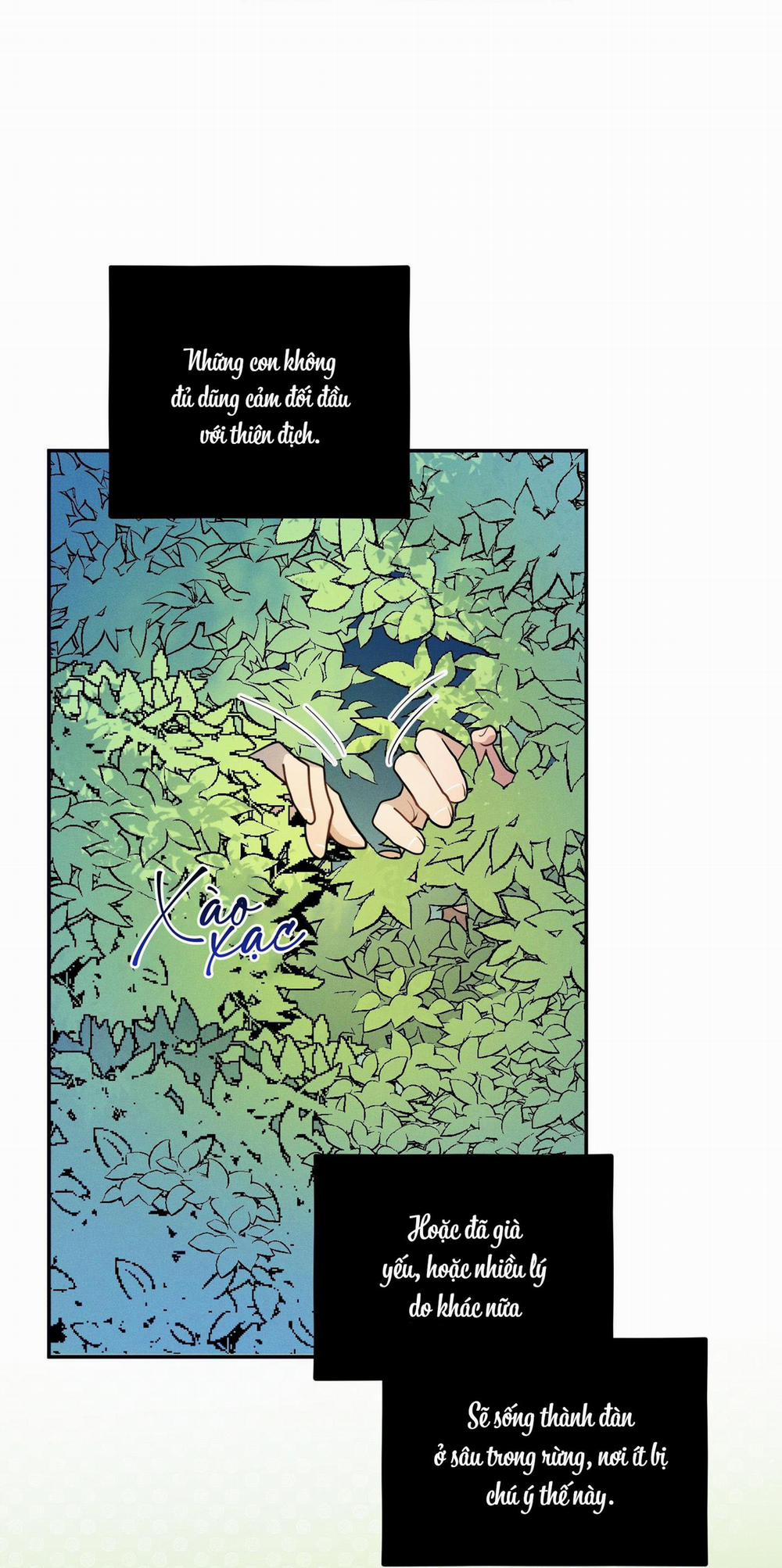 Tình Cờ Thật?! 7 trang 18