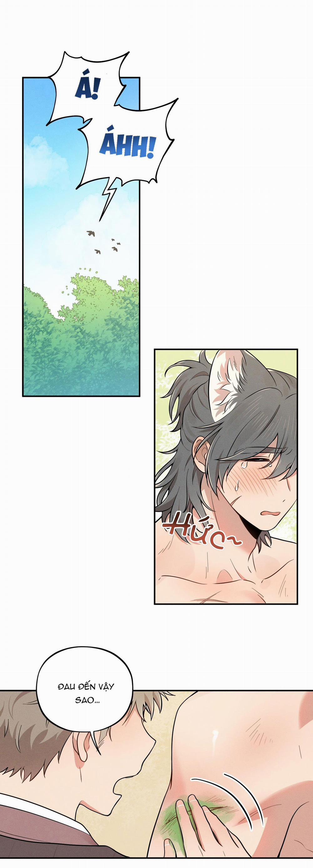 TÌNH CỜ 3 trang 0