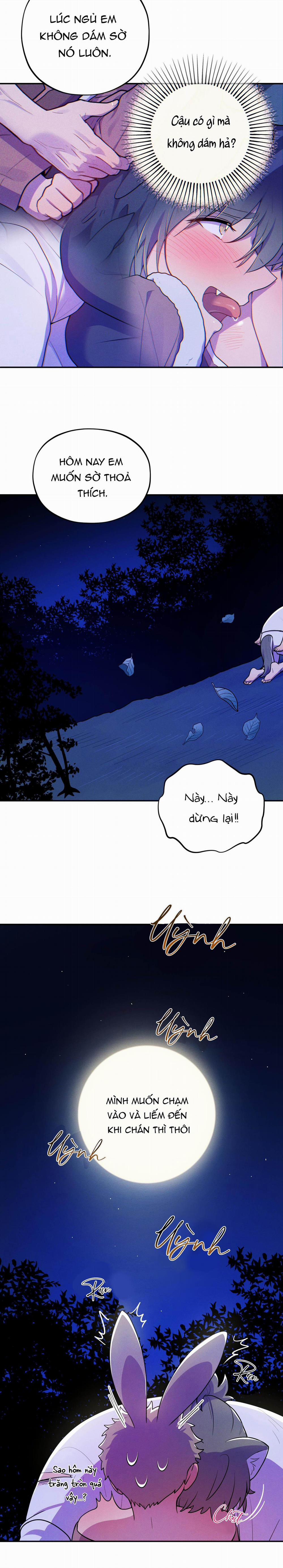 TÌNH CỜ 4 trang 5