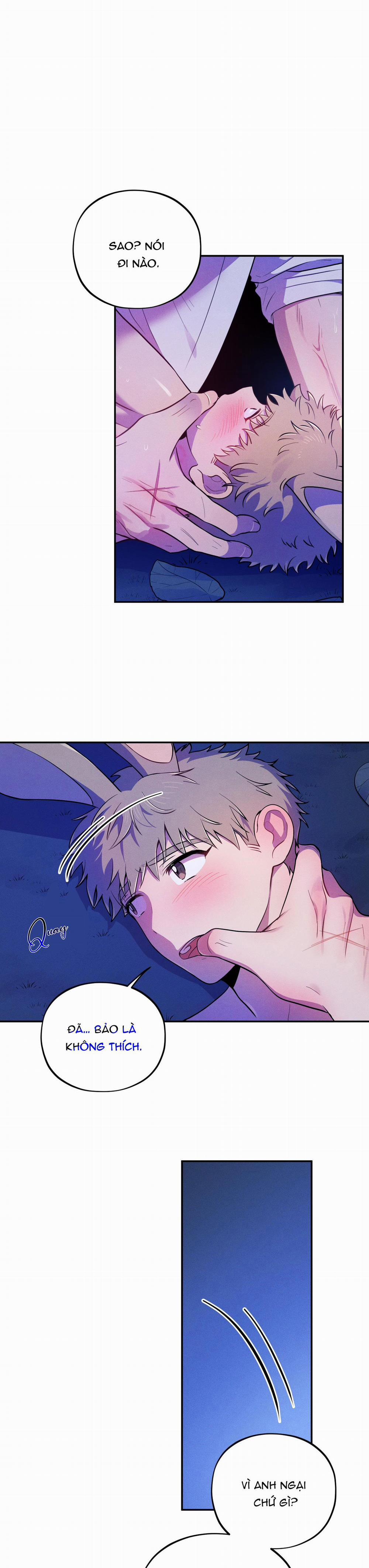 TÌNH CỜ 5 trang 0