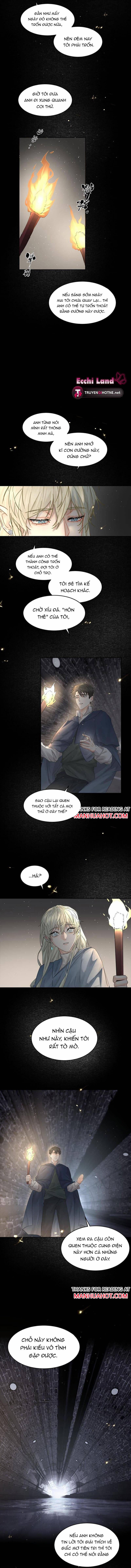 Tình Cũ Là Hoàng Đế 38.2 trang 1