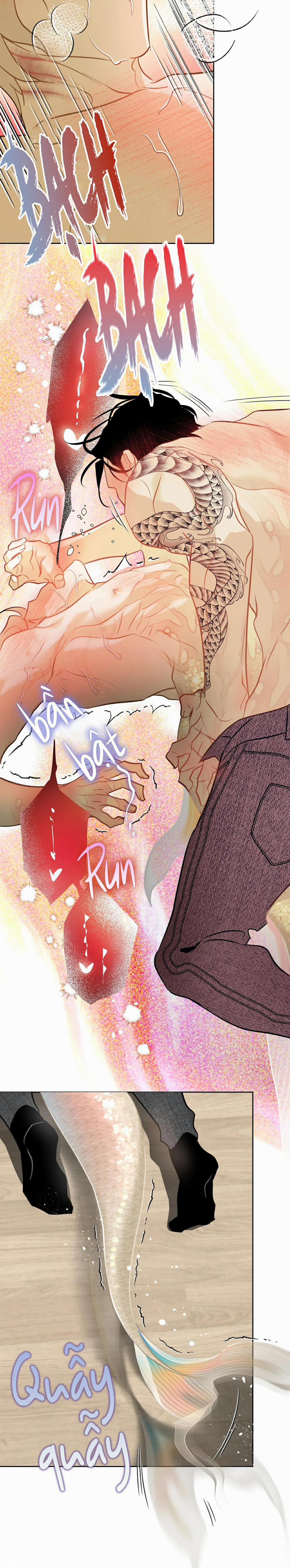 Tình Đầu Của Anh Chủ Quán Sashimi Là Người Cá 10 trang 16