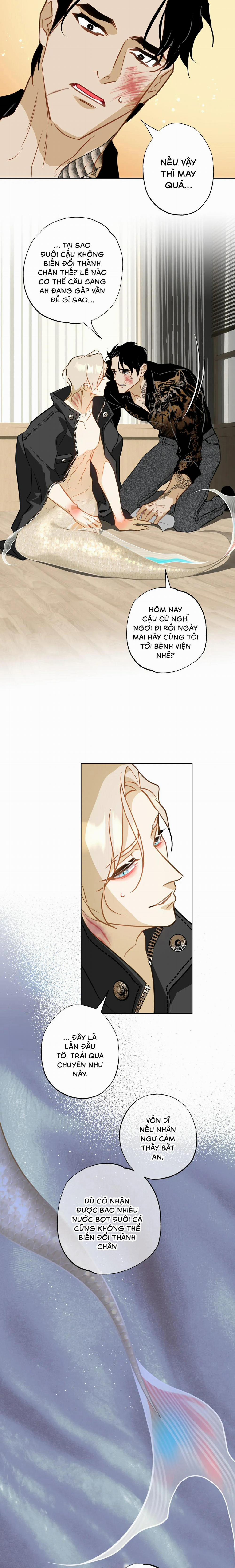 Tình Đầu Của Anh Chủ Quán Sashimi Là Người Cá 10 trang 2