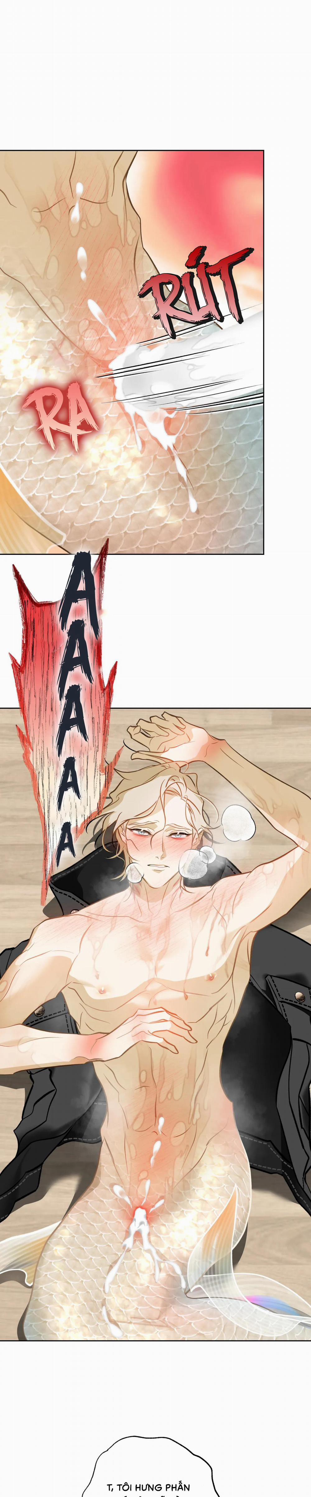 Tình Đầu Của Anh Chủ Quán Sashimi Là Người Cá 11 trang 0