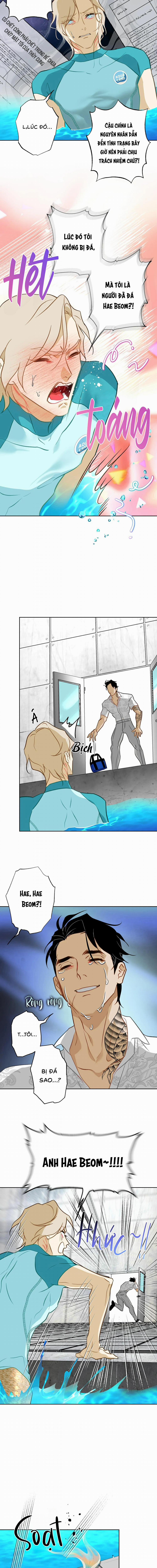 Tình Đầu Của Anh Chủ Quán Sashimi Là Người Cá 12 trang 2