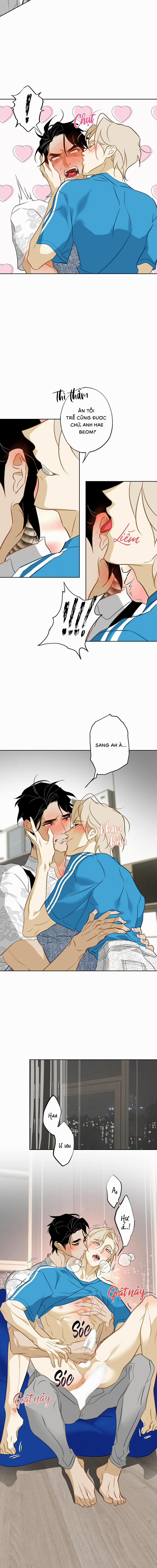 Tình Đầu Của Anh Chủ Quán Sashimi Là Người Cá 12 trang 8