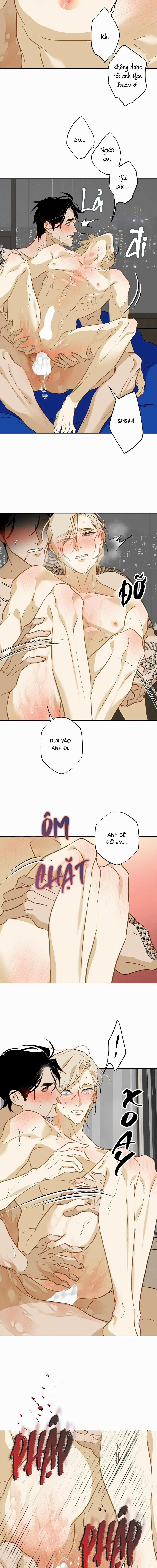 Tình Đầu Của Anh Chủ Quán Sashimi Là Người Cá 13 trang 4