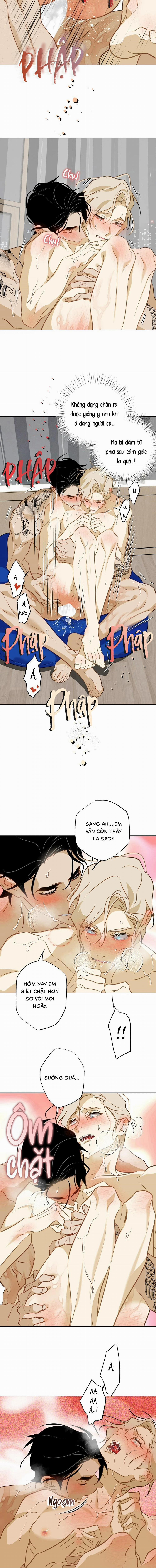 Tình Đầu Của Anh Chủ Quán Sashimi Là Người Cá 13 trang 5