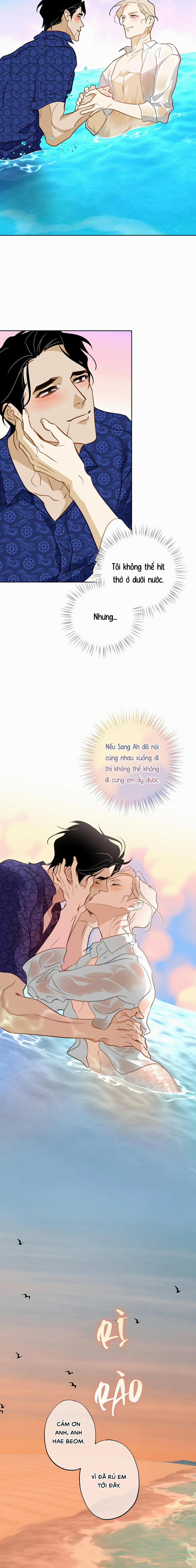 Tình Đầu Của Anh Chủ Quán Sashimi Là Người Cá 14 trang 4