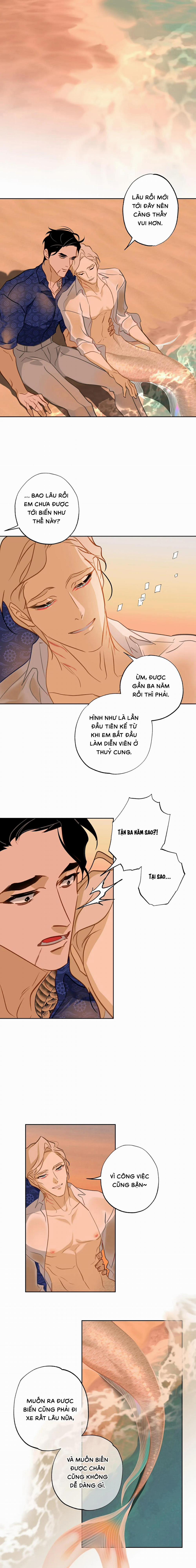 Tình Đầu Của Anh Chủ Quán Sashimi Là Người Cá 14 trang 5