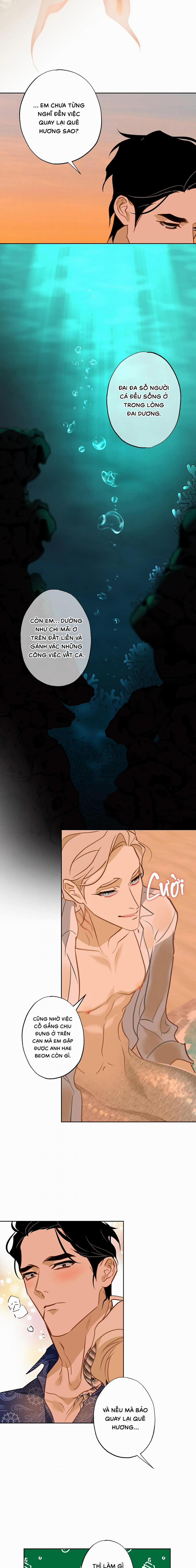 Tình Đầu Của Anh Chủ Quán Sashimi Là Người Cá 14 trang 6